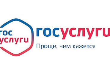 Услугами ФНС России можно воспользоваться на Портале госуслуг