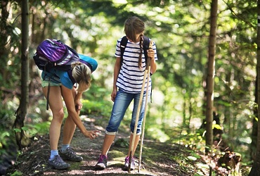 Сезон клещей 2020 года в период пандемии