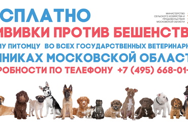 Прививки для животных