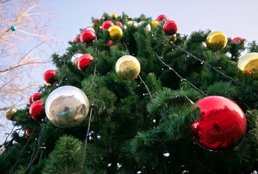 СОБЫТИЯ В РЕУТОВЕ