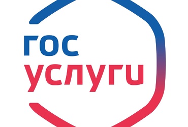 Услугами ФНС России можно воспользоваться на Портале госуслуг