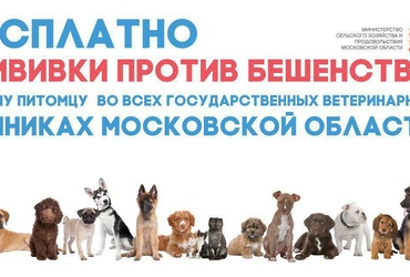 Вниманию владельцев собак и кошек