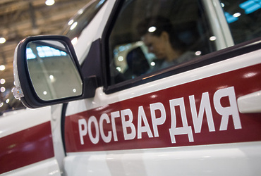 Рогвардия сообщает