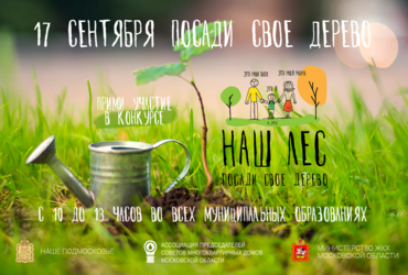 Объявлен конкурс на лучший видеоролик в рамках акции «Наш лес. Посади своё дерево» — МинЖКХ