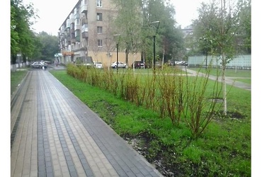 Идет интернет‑голосование жителей по выбору лучшего сада Подмосковья