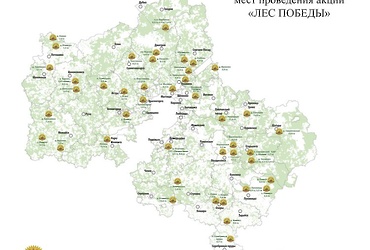 Карта мест посадки леса