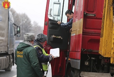 Ответственность за транспортировку древесины без сопроводительного документа