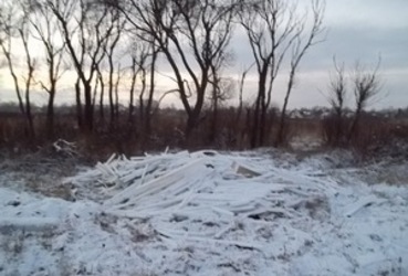 Ликвидирована свалка опасных отходов