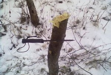 В городе березка стояла…