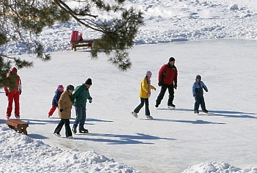 Почти 1400 катков и ледяных горок появятся в Подмосковье после заморозков