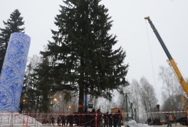 Главную новогоднюю ель страны срубили в Рузском районе