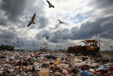 За неделю в Подмосковье ликвидировано 7 несанкционированных свалок