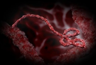 Роспотребнадзор сообщает