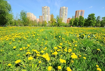 В Реутове пройдет экологическая акция «РазДельный сбор»
