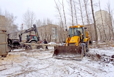 Администрация Реутова против незаконной вырубки деревьев