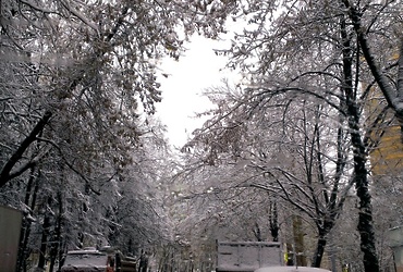 Зима наконец пришла в Реутов