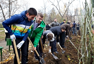 Школьники Реутова сегодня посадили 150 деревьев