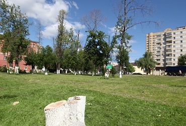 В сквере возле Собора Святой Троицы началось благоустройство