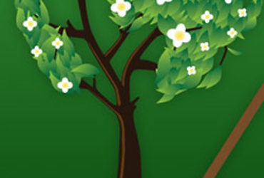 Сделаем Реутов чище!