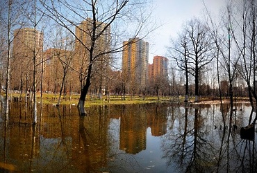 Весна наконец пришла в Реутов