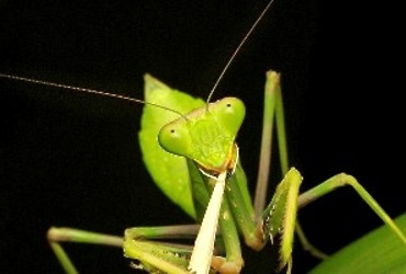 Новая выставка открылась в Музейно‑выставочном центре Реутова