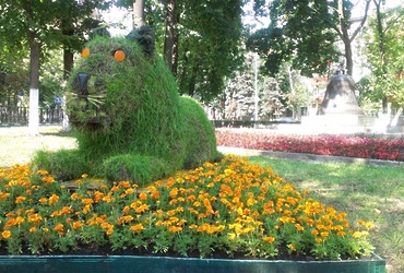 Благоустройство города