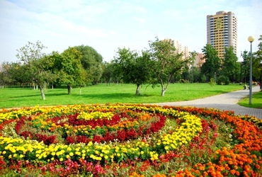 «Озеленение и благоустройство» открывает весенний сезон