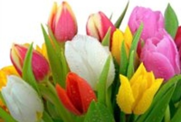 Дорогие и милые наши женщины!