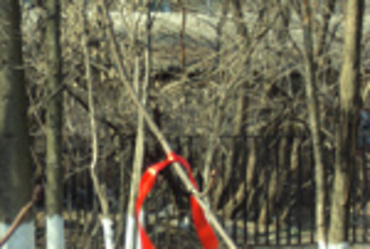 Связь поколений