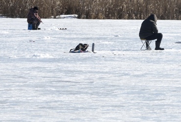 Жителям Реутова напомнили о правилах безопасности на воде в зимний период