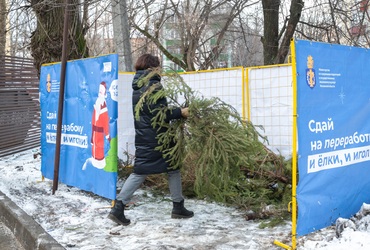 В Реутове открылись площадки для утилизации новогодних елок