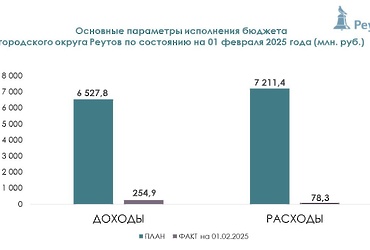 Доходы бюджета Реутова за январь 2025 года выросли на 14,4 млн рублей