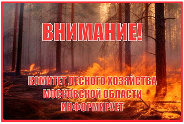 Комитет лесного хозяйства Московской области информирует граждан о соблюдении требований пожарной безопасности.