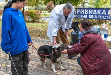 В Реутове проведут бесплатную вакцинацию домашних животных от бешенства