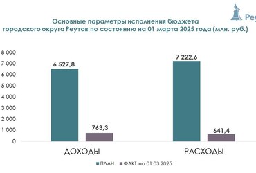 Бюджет Реутова за февраль 2025 года исполнен на 11,7% от годового плана