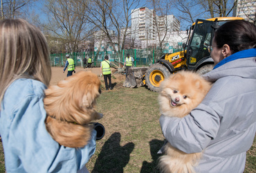 В Реутове началась модернизация площадок для выгула собак