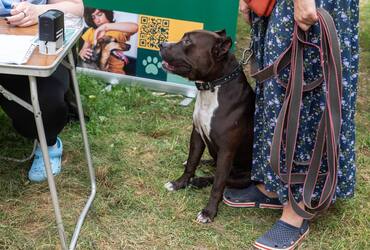 В Реутове пройдут бесплатные ветеринарные акции для домашних животных