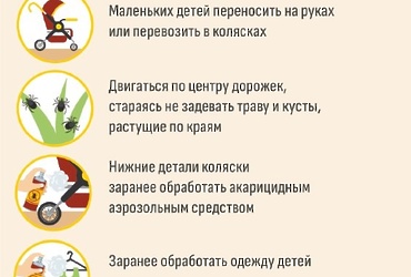 Как защитить детей от клещей