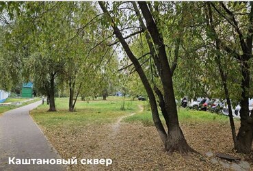 Жители Реутова голосуют за пять объектов благоустройства