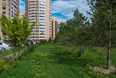 В северной части Реутова появится новый сквер