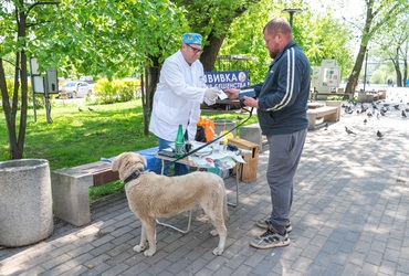 В парке Реутова провели вакцинацию мелких домашних животных