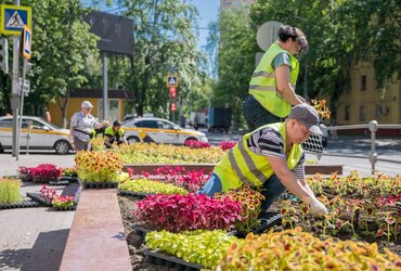 Реутов украшают летними цветами