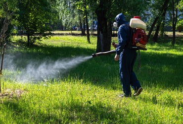 В Реутове провели повторную обработку парков от клещей