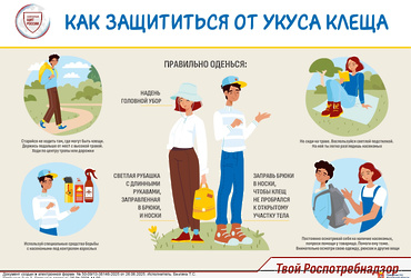 Роспотребнадзор напоминает «Как защититься от укуса клеща»