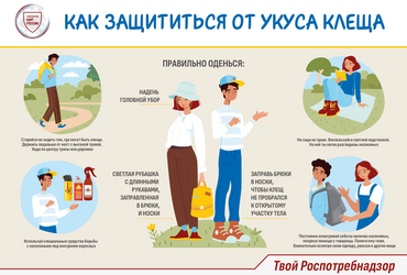 Жителям Реутова напомнили о мерах защиты от укусов клещей