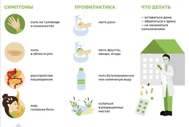Ногинский территориальный отдел Управления Роспотребнадзора напоминает