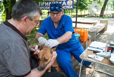 В Реутове прошла бесплатная вакцинация домашних животных против бешенства