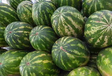 В Реутове с 1 августа начнут работу официальные точки продажи арбузов и дынь