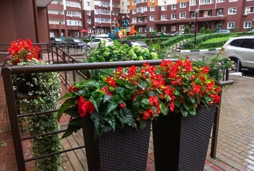 Конкурс «Мой комфортный дом».  Самый красивый подъезд, дом и двор  выбирают в Реутове.