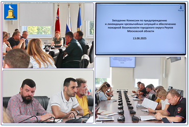 В Администрации городского округа Реутов состоялось заседание Комиссии по предупреждению и ликвидации чрезвычайных ситуаций и обеспечению пожарной безопасности.